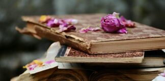 Anticariatul ambulant