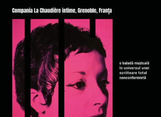 Festivalul Internaţional al Teatrului de Studio Piteşti 2026. Ziua 2 – „Albertine Sarrazin, Fuga după gratii & Disco”