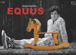 Povestea ciudată a unui psihiatru şi a pacientului său EQUUS de Peter Shaffer, la Teatrul „Stela Popescu”