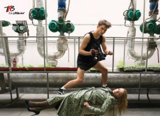 Pescărușul – Un Cehov hibrid, dar nu insipid din era Facebook