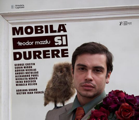 MOBILĂ ŞI DURERE de Teodor Mazilu mobila si durere