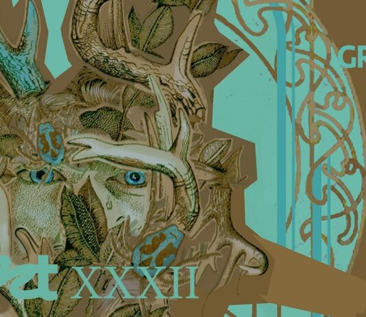 When More is Less – Impresii și concluzii din FNT 2022