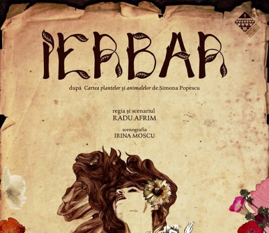 Teatrul pleacă în alte direcţii? Câteva consideraţii legate de IERBAR