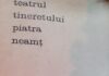 O comedie cu 2000 de spectatori: „Fluturi de noapte”, la Teatrul Tineretului din Piatra Neamţ