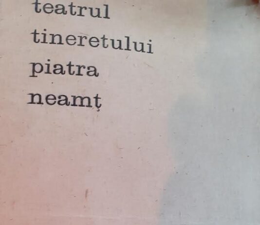 O comedie cu 2000 de spectatori: „Fluturi de noapte”, la Teatrul Tineretului din Piatra Neamţ