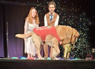 Maratonul teatral cu trupe independente „La Mustaţă” pe scena Teatrului de Comedie