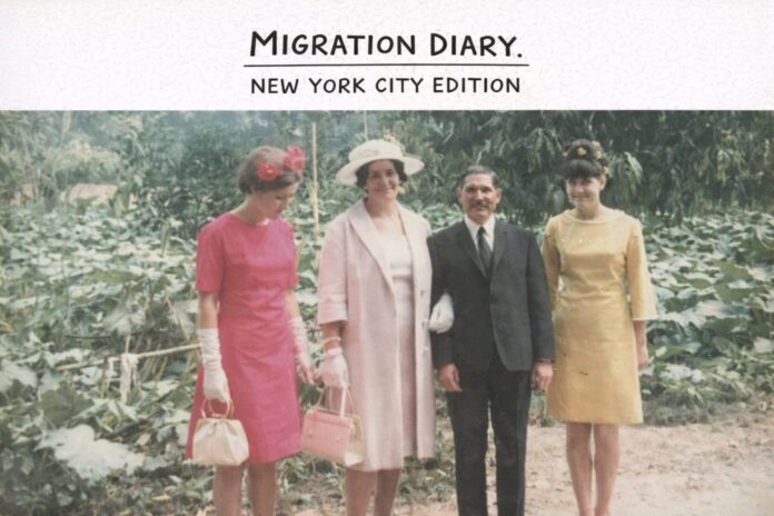 Migration Diary afiș