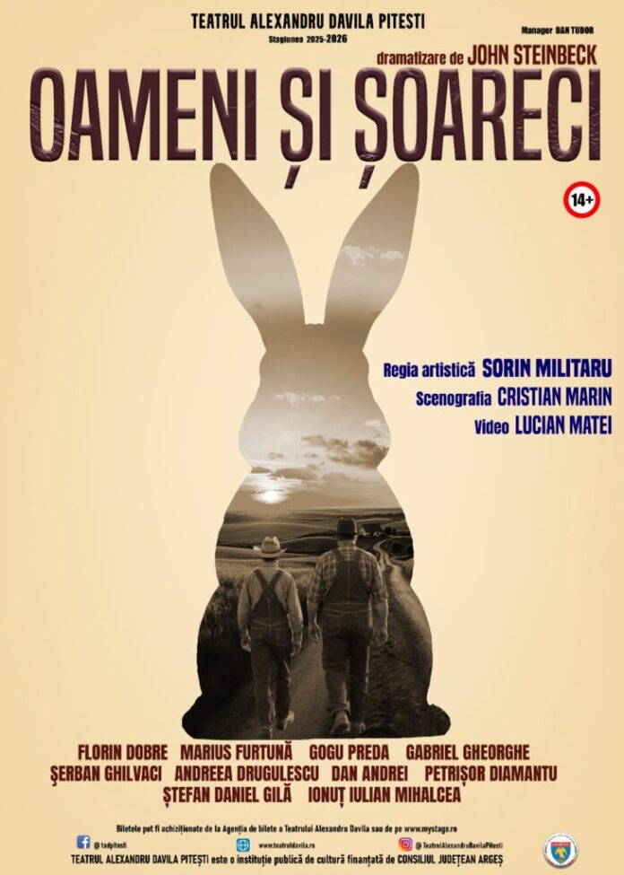oameni-si-soareci-site1-731x1024